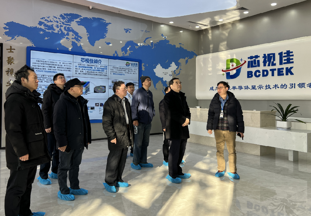 “美好安徽智匯行”走進淮南—調(diào)研芯視佳產(chǎn)學(xué)研項目發(fā)展情況