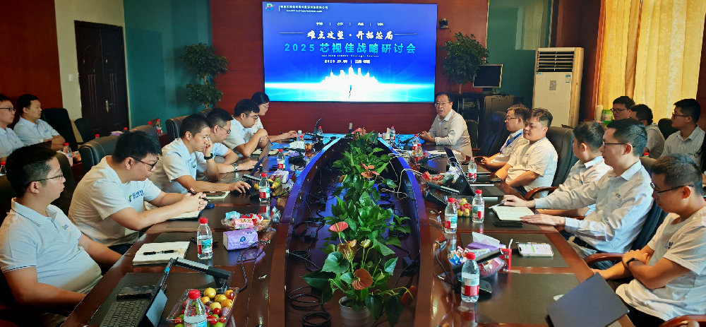 芯視佳成功舉辦“難點攻堅·開拓芯局”—2025戰略研討會